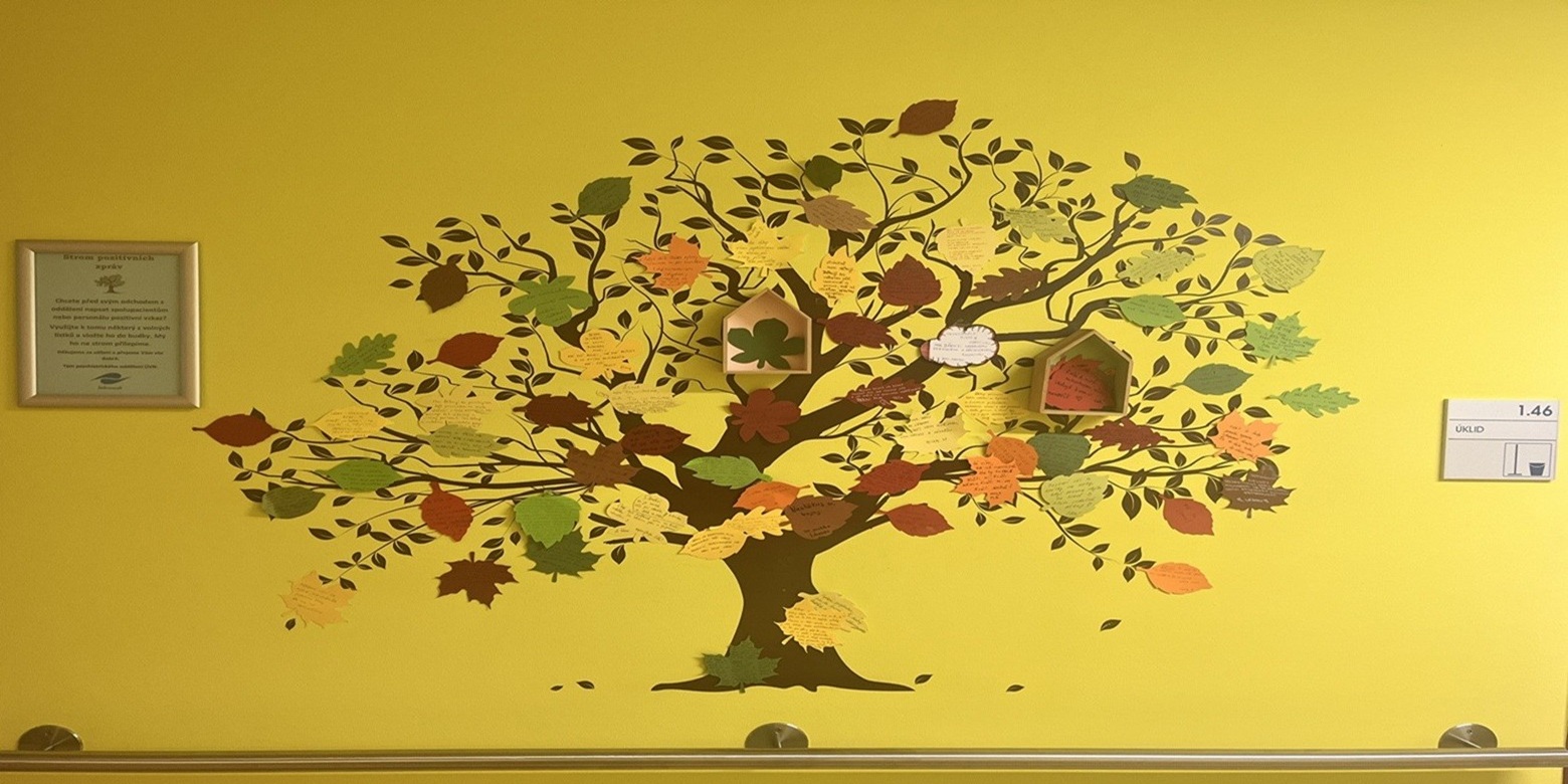 Psychiatrické oddělení ÚVN implementuje metodiku Safewards