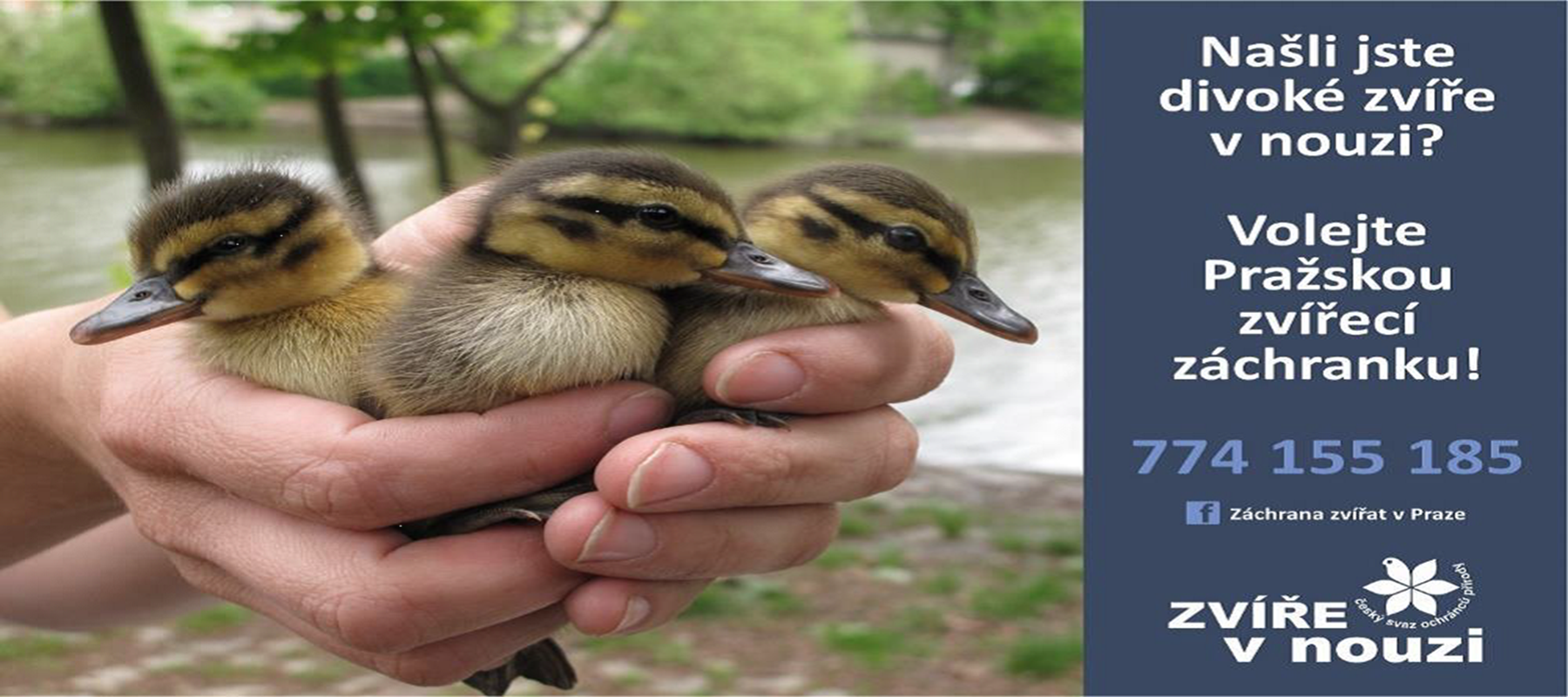 Pražská zvířecí záchranka děkuje za spolupráci a podporu