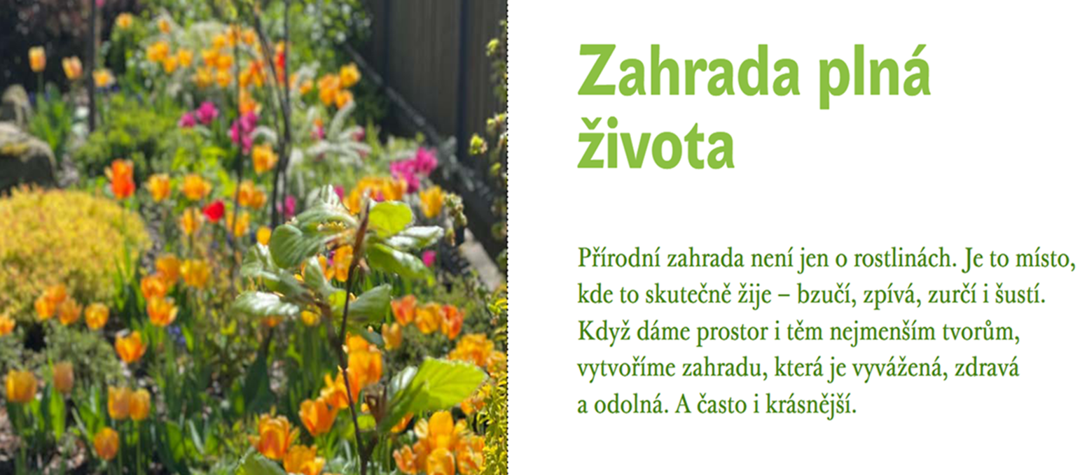 Tereza Svobodová, Tomáš Bažil a jejich nová kniha: Bydlíme na zahradě