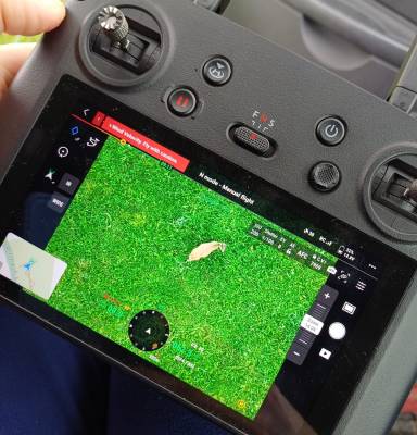 Srnka na kameře dronu (foto archiv Simona Šitnerová).