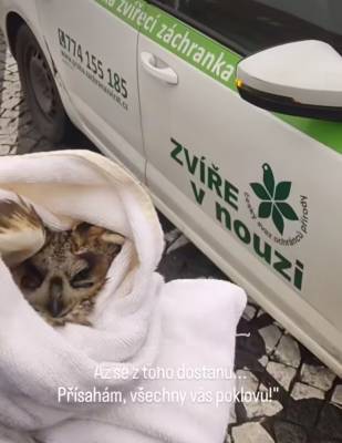 Pražská zvířecí záchranka (screen redakce).