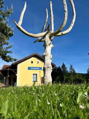 Obec Kubova Huť (foto za obec Anna Skljar).