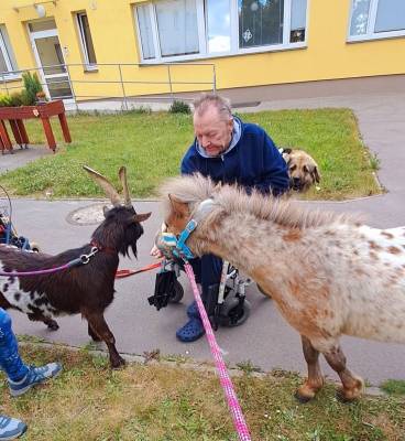 Spolek Setkávání se zvířátky v praxi (foto archiv spolek SSZ).