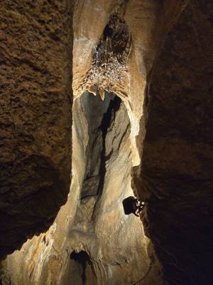 Koněpruské jeskyně (foto redakce).