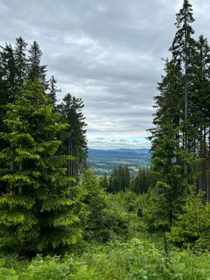 Obec Kubova Huť (foto za obec Anna Skljar).
