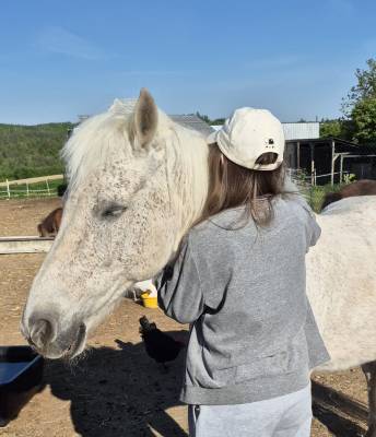 Spolek Setkávání se zvířátky v praxi (foto archiv spolek SSZ).