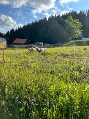 Obec Kubova Huť (foto za obec Anna Skljar).