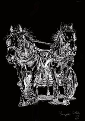 Tvorba Terezy Turynové (archiv T. T.).