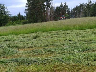 Sečení louky (foto archiv Simona Šitnerová).