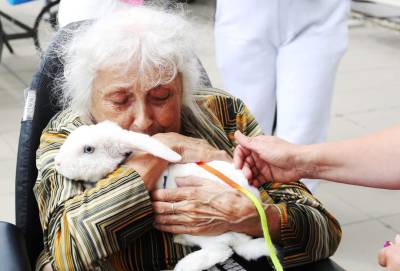 Spolek Setkávání se zvířátky v praxi (foto archiv spolek SSZ).