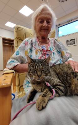 Spolek Setkávání se zvířátky v praxi (foto archiv spolek SSZ).