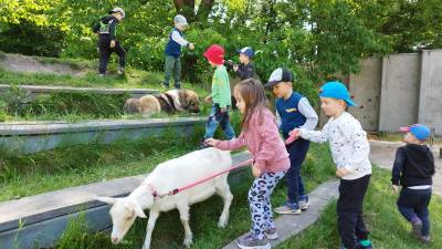 Spolek Setkávání se zvířátky v praxi (foto archiv spolek SSZ).