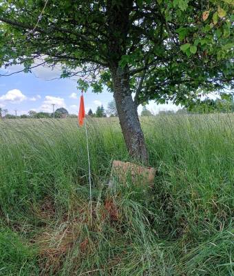 Srnče ukryté v krabici po dobu sečení (foto archiv Simona Šitnerová).