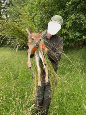 Foto ve sbírce na DONIU.