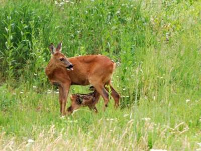 Foto ve sbírce na DONIU.