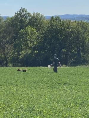 Foto ve sbírce na DONIU.