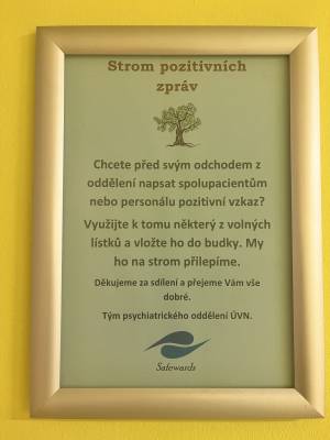 Strom pozitivních zpráv dle metodiky Safewards (foto tisková mluvčí ÚVN Adéla Davidová).