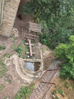 Hrad Točník červenec 2025 - výběh medvědů (foto redakce).