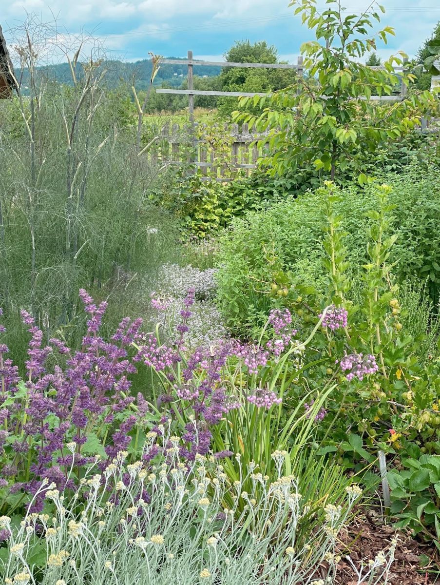 Fotografie z projektu BYDLÍME NA ZAHRADĚ